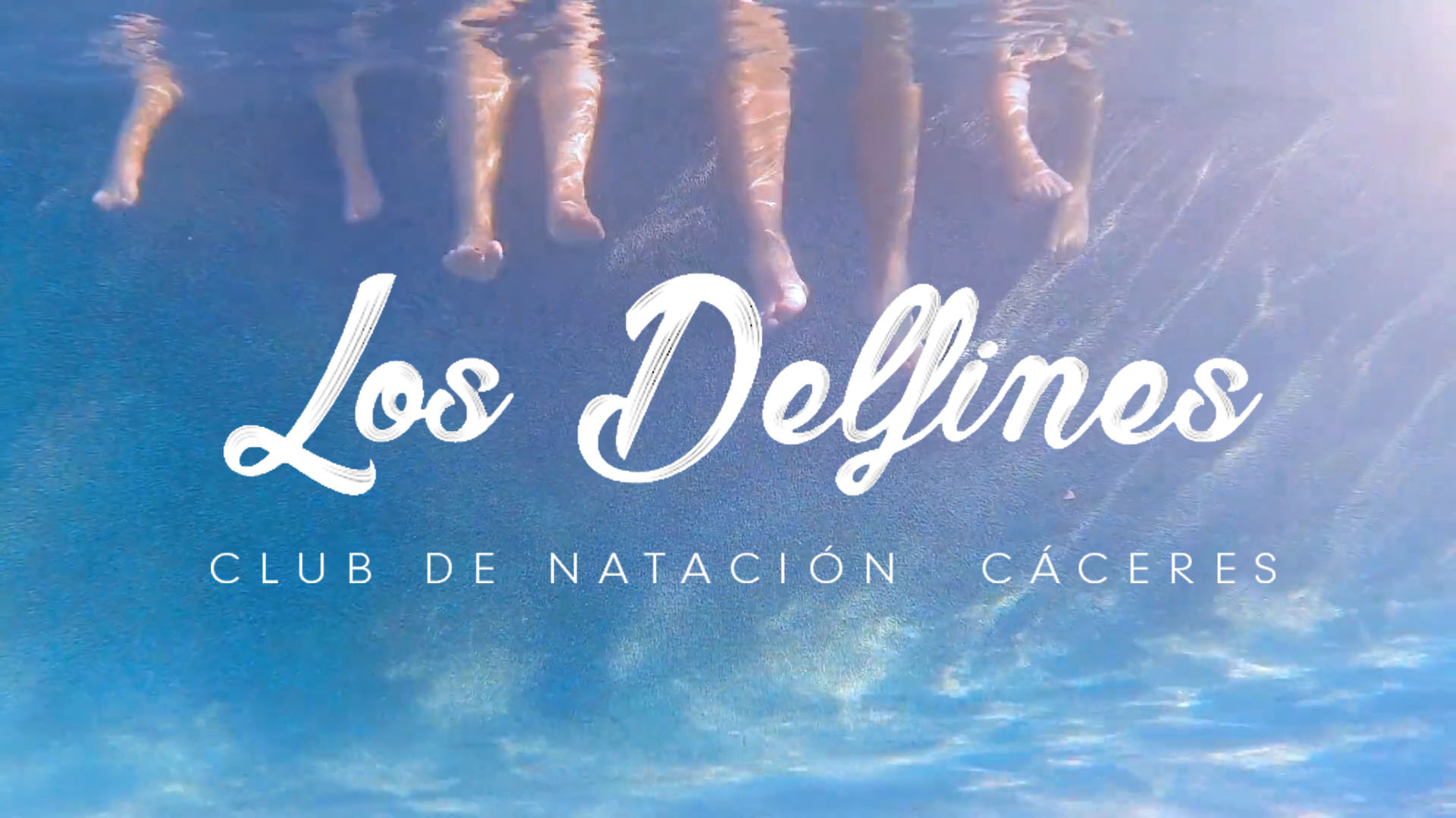 Club de Natación Cáceres, Los Delfines